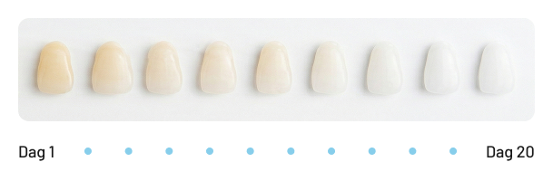 Sichtbare Ergebnisse in 20 Tagen